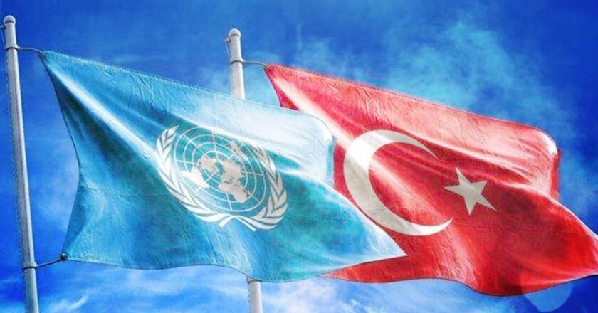 Türkiye, Birleşmiş Milletler Ekonomik ve Sosyal Konseyi üyesi olarak seçildi