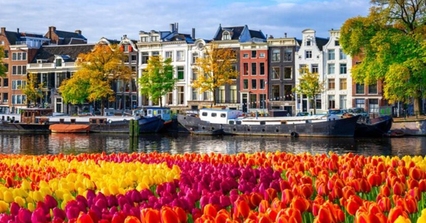 Hollanda'ya ne zaman nasıl ulaşılır? Dil, sermaye, para birimi nedir?