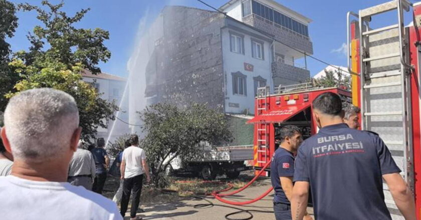 Bursa'da panik anları: Ormandaki ateş park edilmiş araçlara atladı! – Türkiye haberlerini kırmak