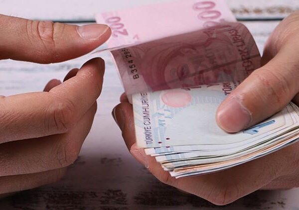 Tarımsal destekleme ödemeleri hesaplara yatırılıyor